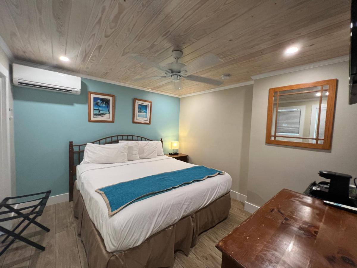 Auberge de jeunesse Seashell And International *